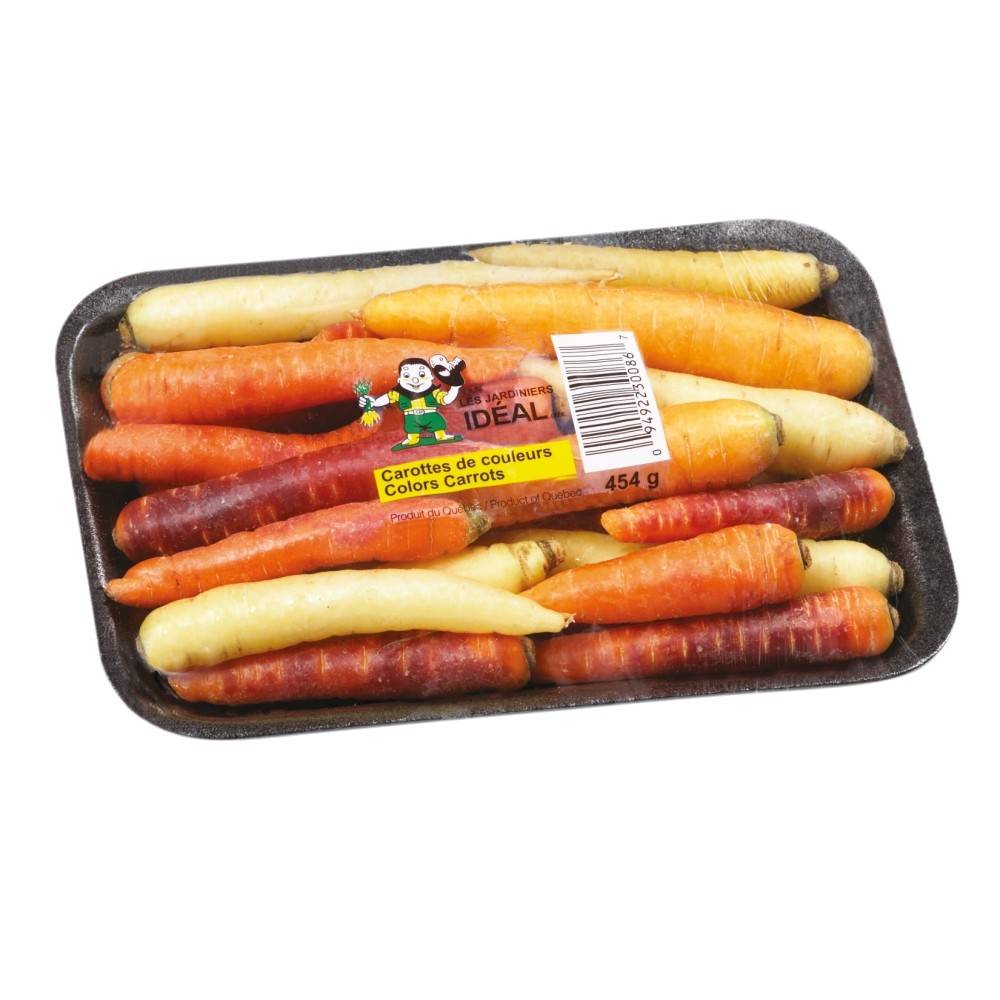 Carottes (454 g) - multicoloured nantaise carrots (454 g)