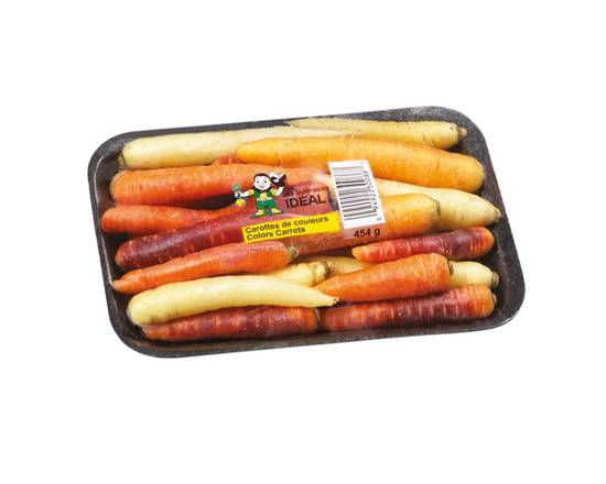 Carottes (454 g) - Multicoloured nantaise carrots (454 g)