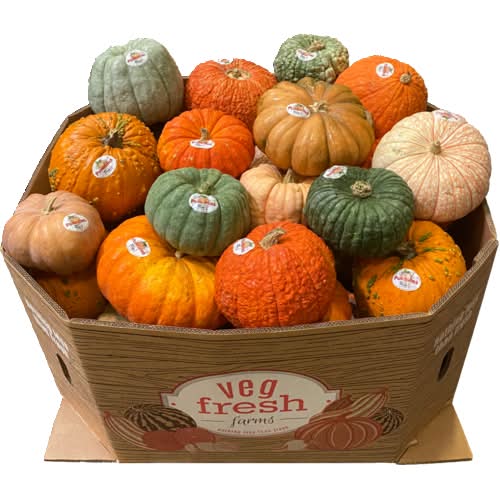 Heirloom Pumpkin