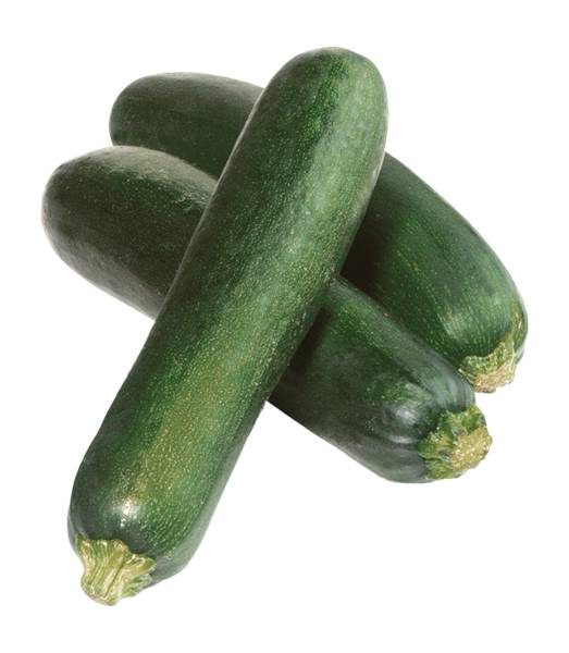 Zucchini Squash