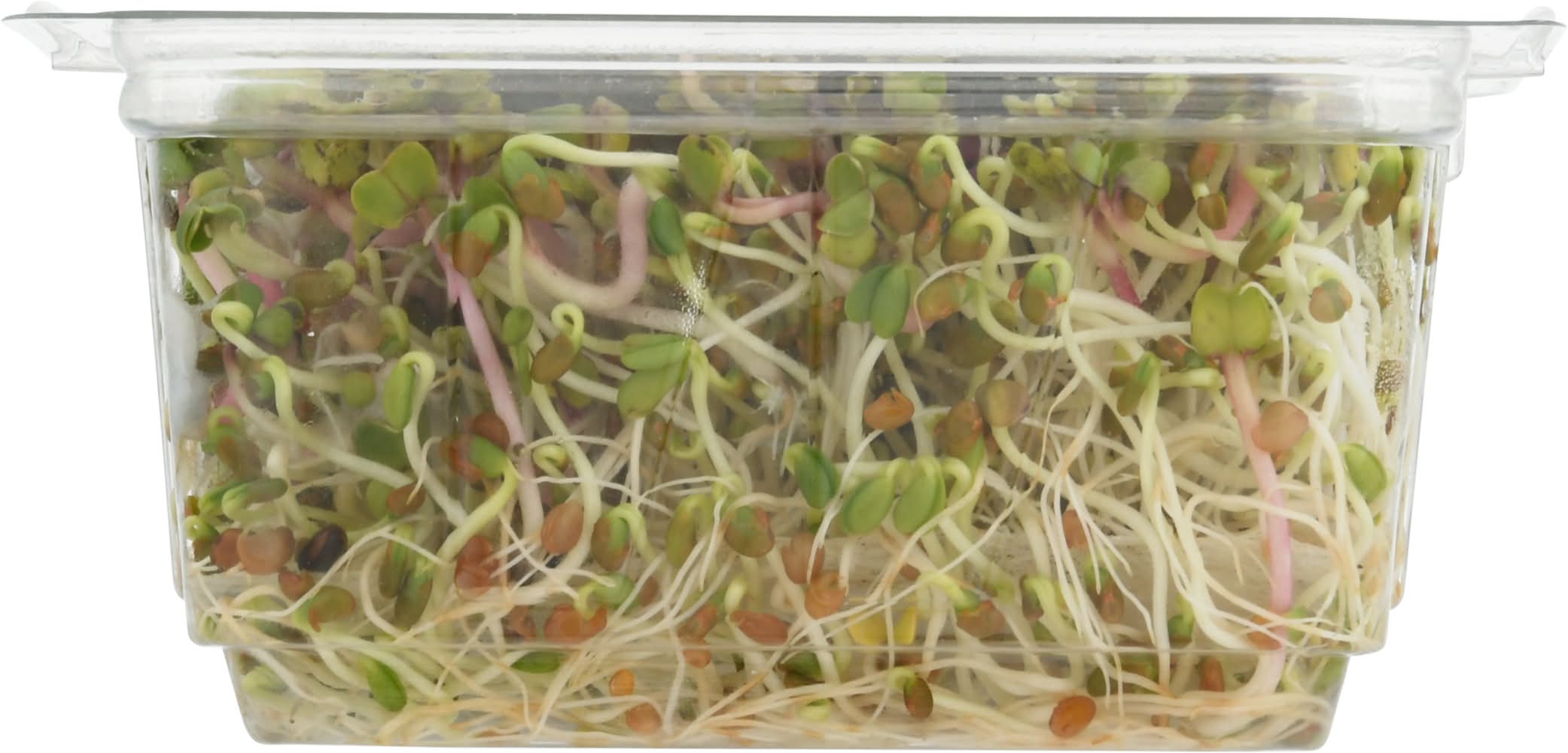 Wild About Sprouts Clover & Radish (3 oz) | Delivery Near You | Uber Eats