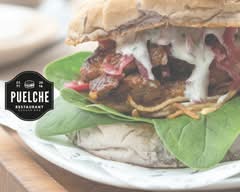 Puelche Burger Bar (Puerto Varas)