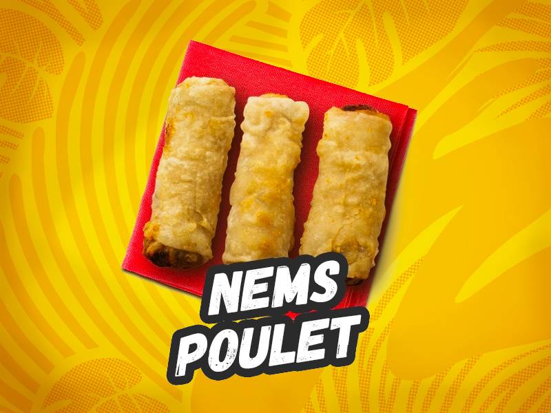 🍗 NEMS POULET