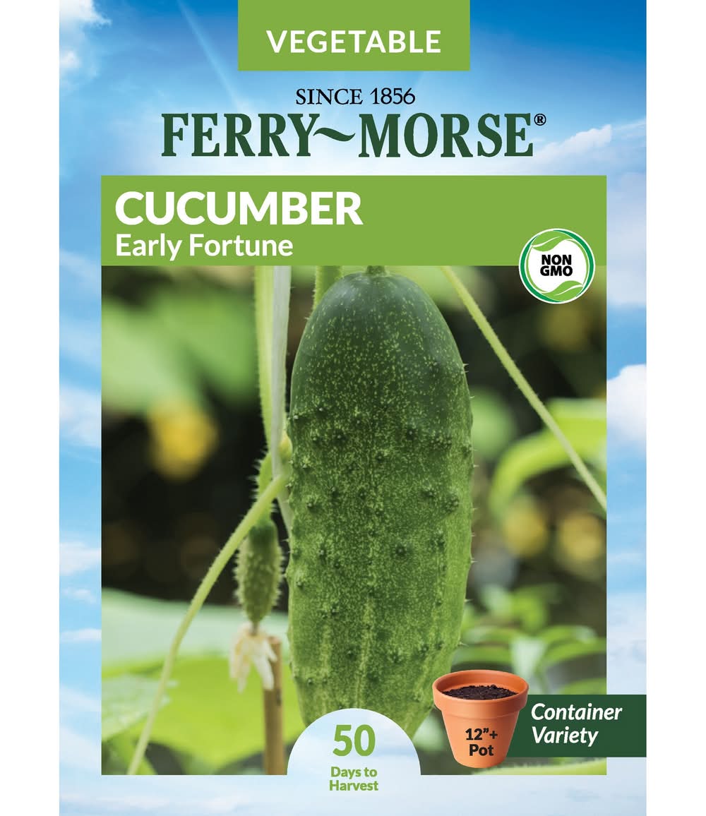 Ferry-Morse Cucumber Seeds 900 Milligram(s)