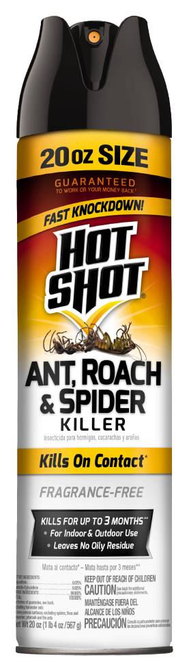 Hot Shot Ant, Roach and Spider Insect Killer Aerosol Spray (20 oz)