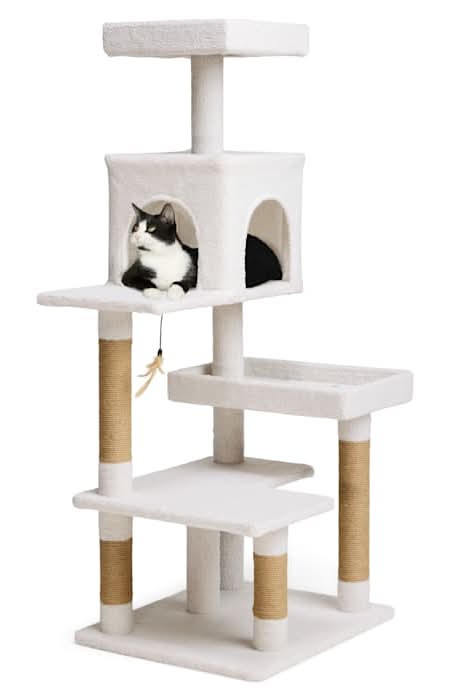 EveryYay Cozy Condo 5-Level Cat Tree for Large Cats, 54.7" H