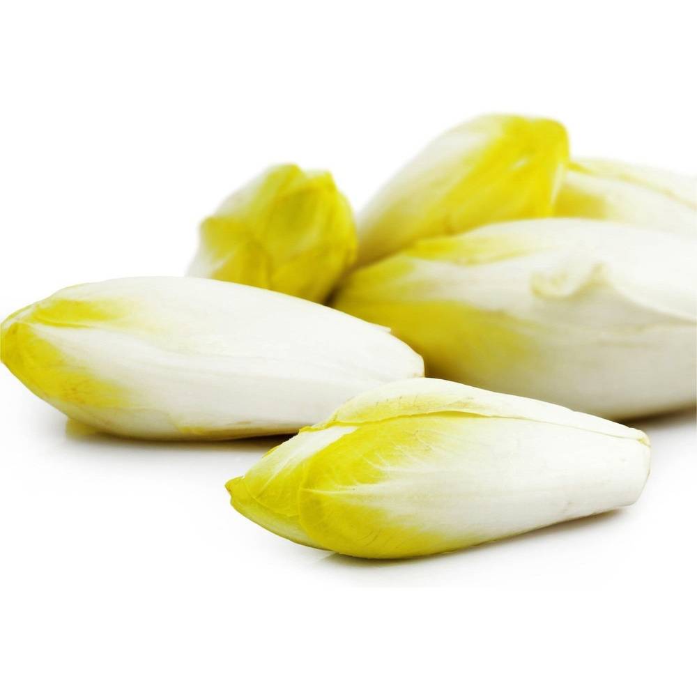 Endives - le sachet de 500g