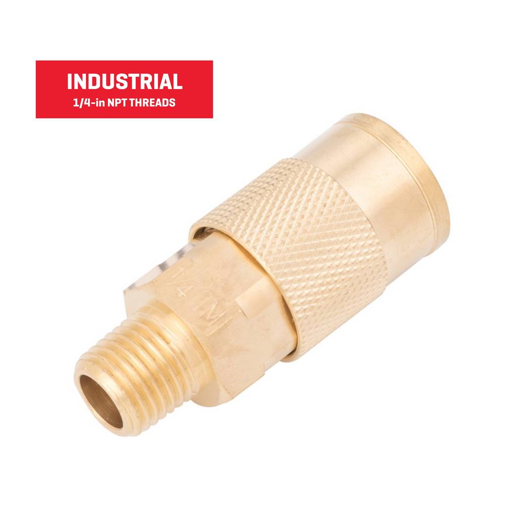 Kobalt Brass Coupler (M) 1/4-in Industrial | SGY-AIR24NB