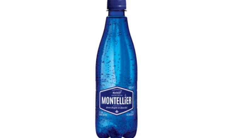 Eau pétillante Montellier® / Montellier® Sparking Water