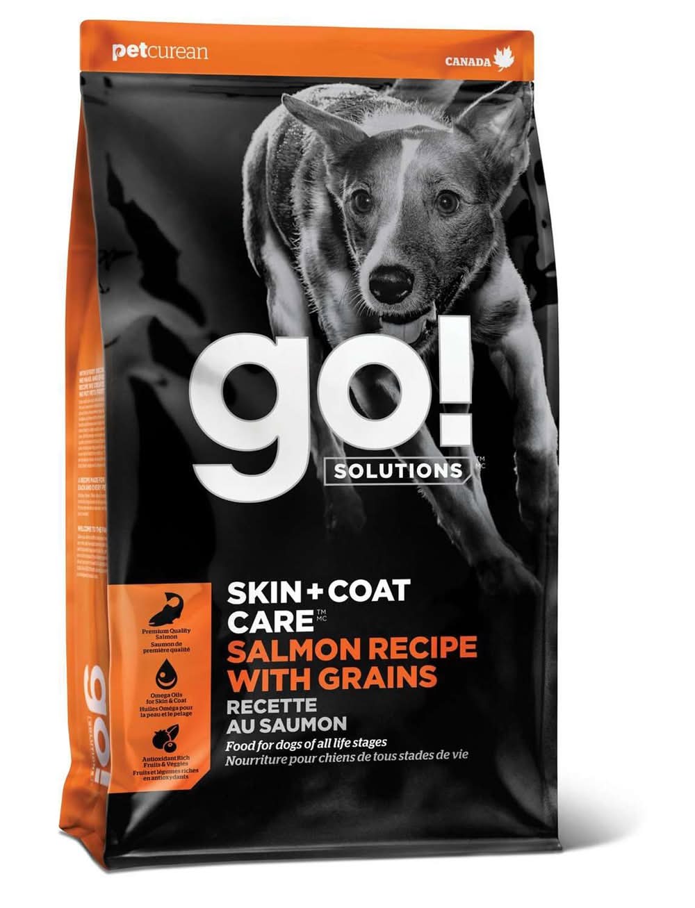 Go! Solutions Skin + Coat Care Salmon With Grains Recipe Dog Food, 3.5 lb