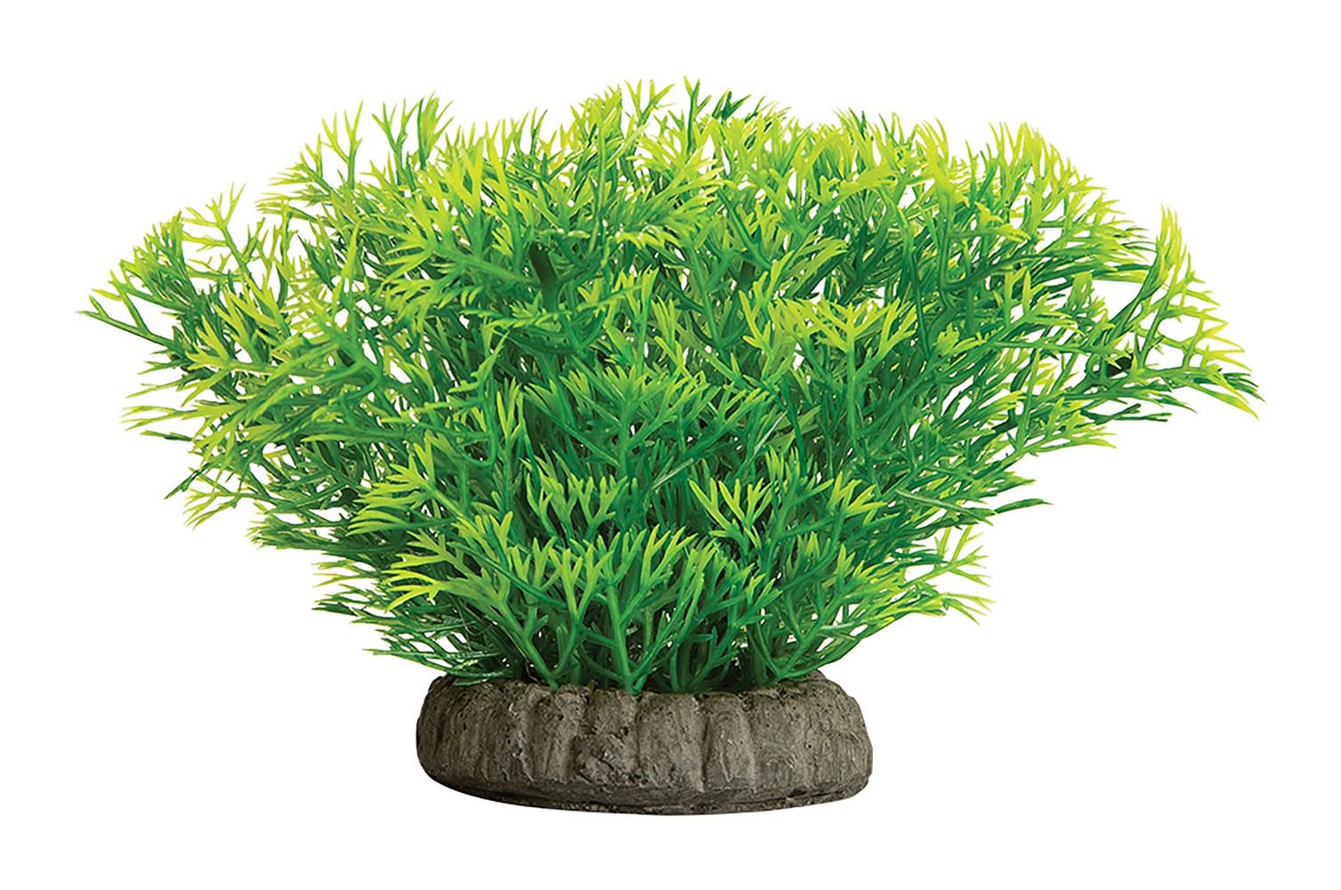 GloFish® Java Moss Plant (Size: Medium)