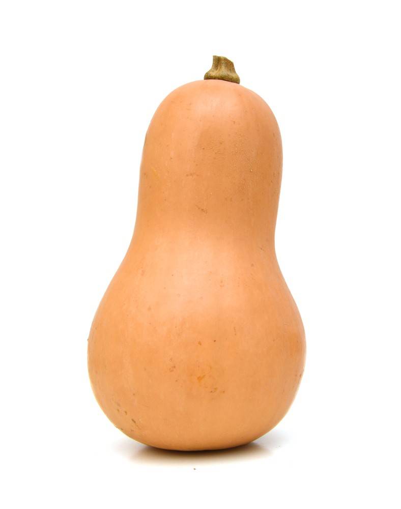 Organic Butternut Squash