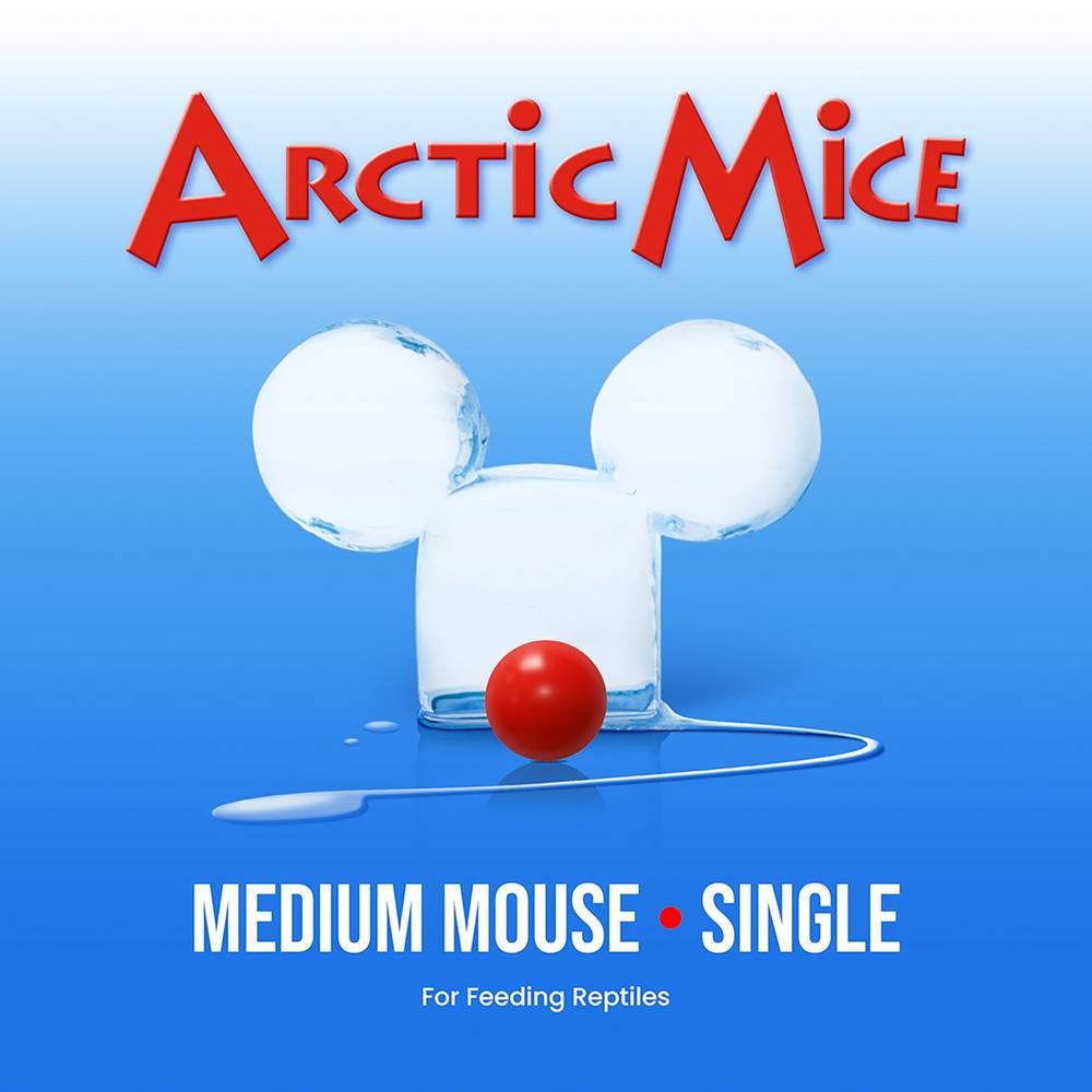 Arctic Mice Frozen Medium Mice (Size: 1 Count)
