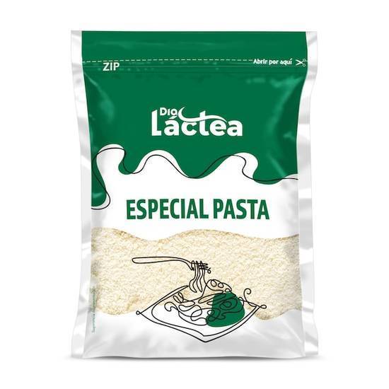 Queso especial pasta en polvo Día Láctea bolsa 150 g