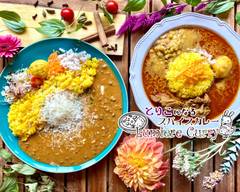 とりこになるスパイスカレーLumiere curry   Enchanted Sri Lankan Curry