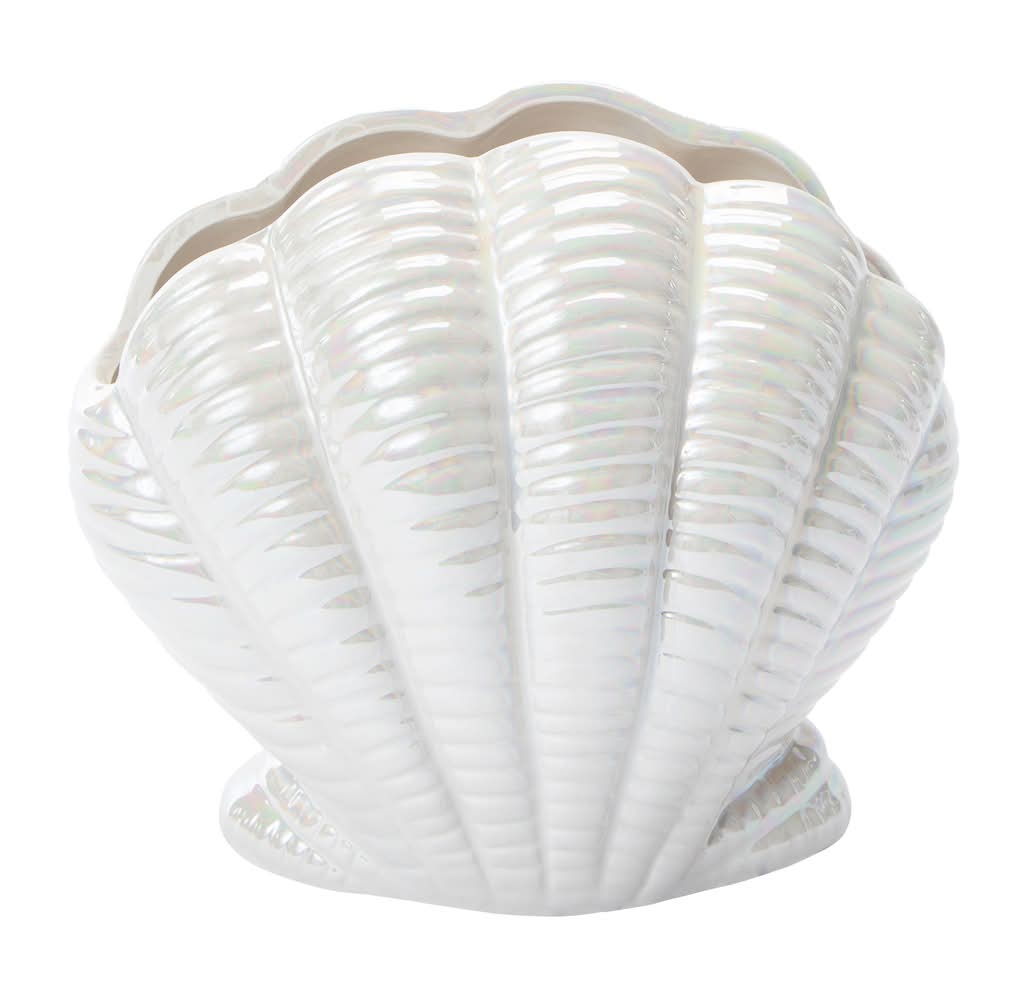 Seashell Vase