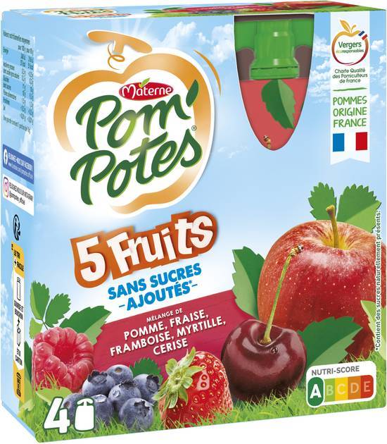 Materne pom'potes compote 5 fruits sans sucre ajoutés (4 pcs)