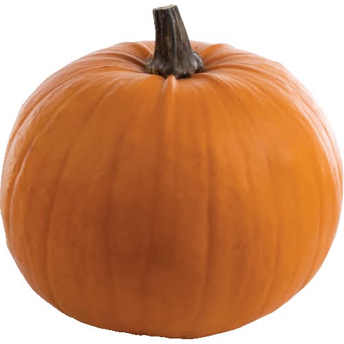 Orange Pumpkin