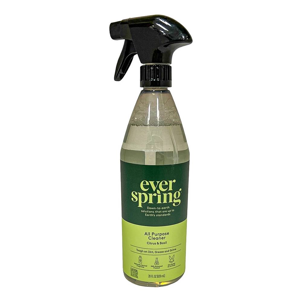 Everspring All Purpose Disinfecting Spray (citrus-basil)