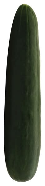 Cucumber Lug