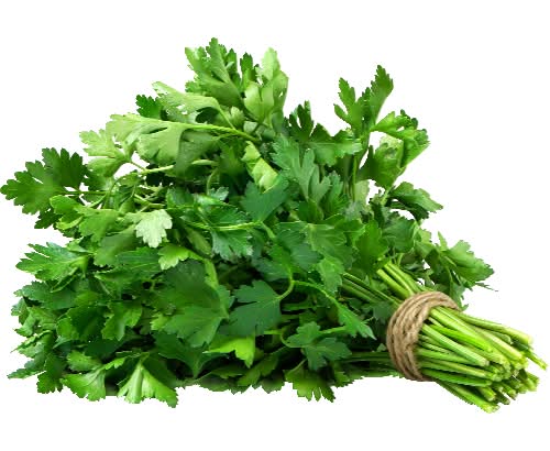 Organic Italian Parsley