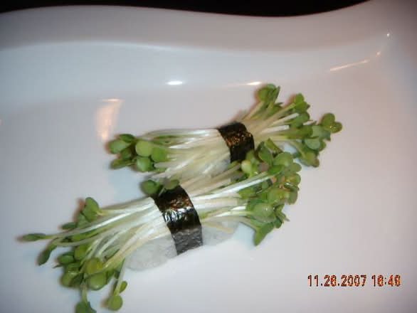 GF - Radish Sprout