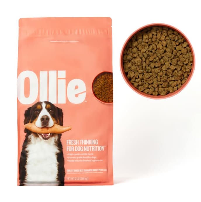 Ollie Baked Beef Dish with Sweet Potatoes Dry Dog Food, 2 lbs.