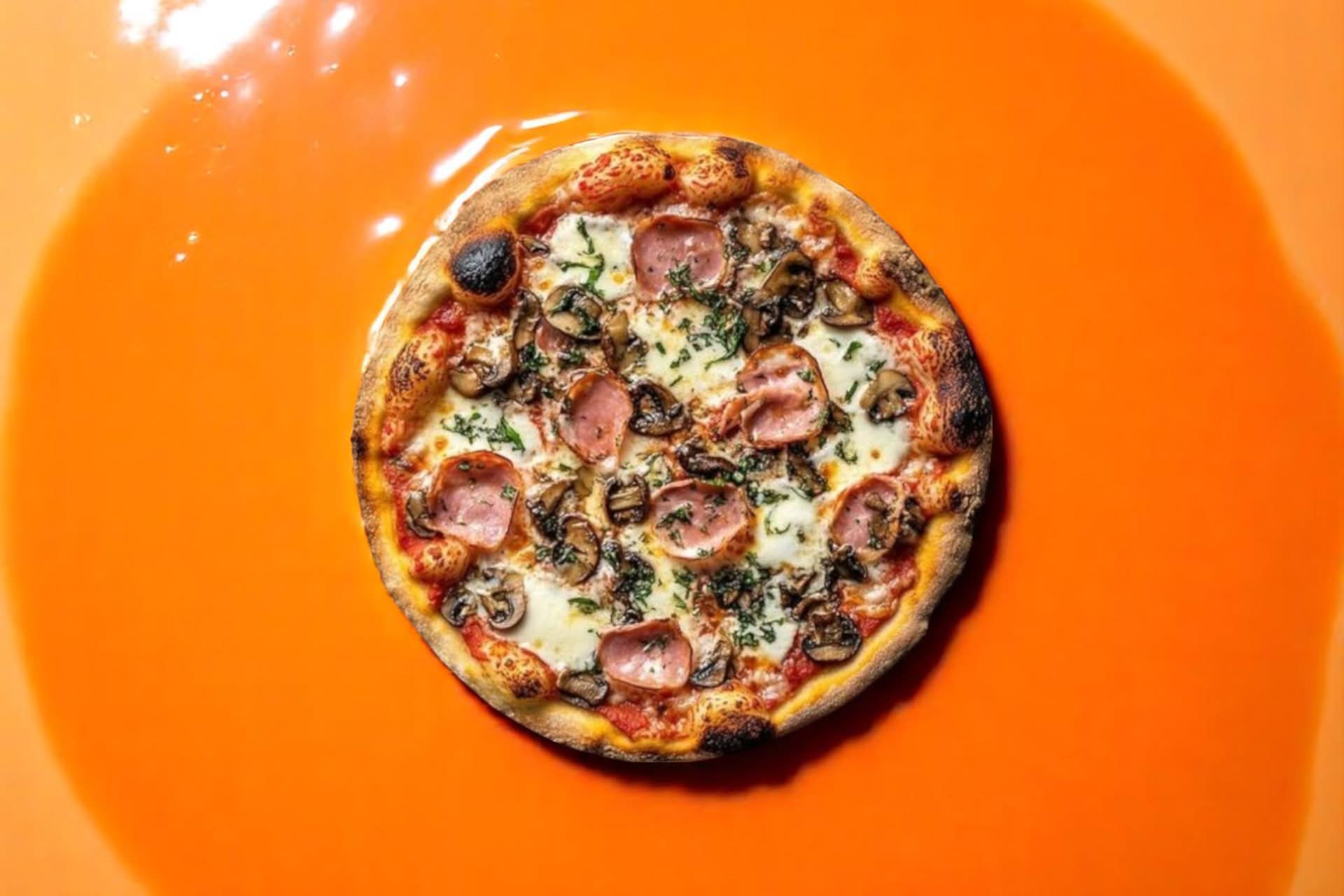 🍕Reine Sénior