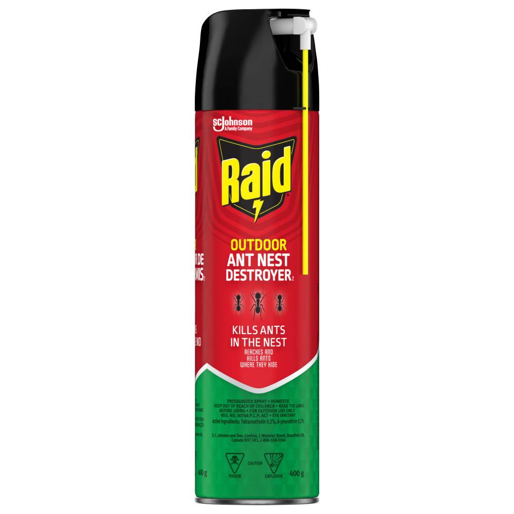 Raid Outdoor Ant Nest Destroyer Insect Killer (400 g)