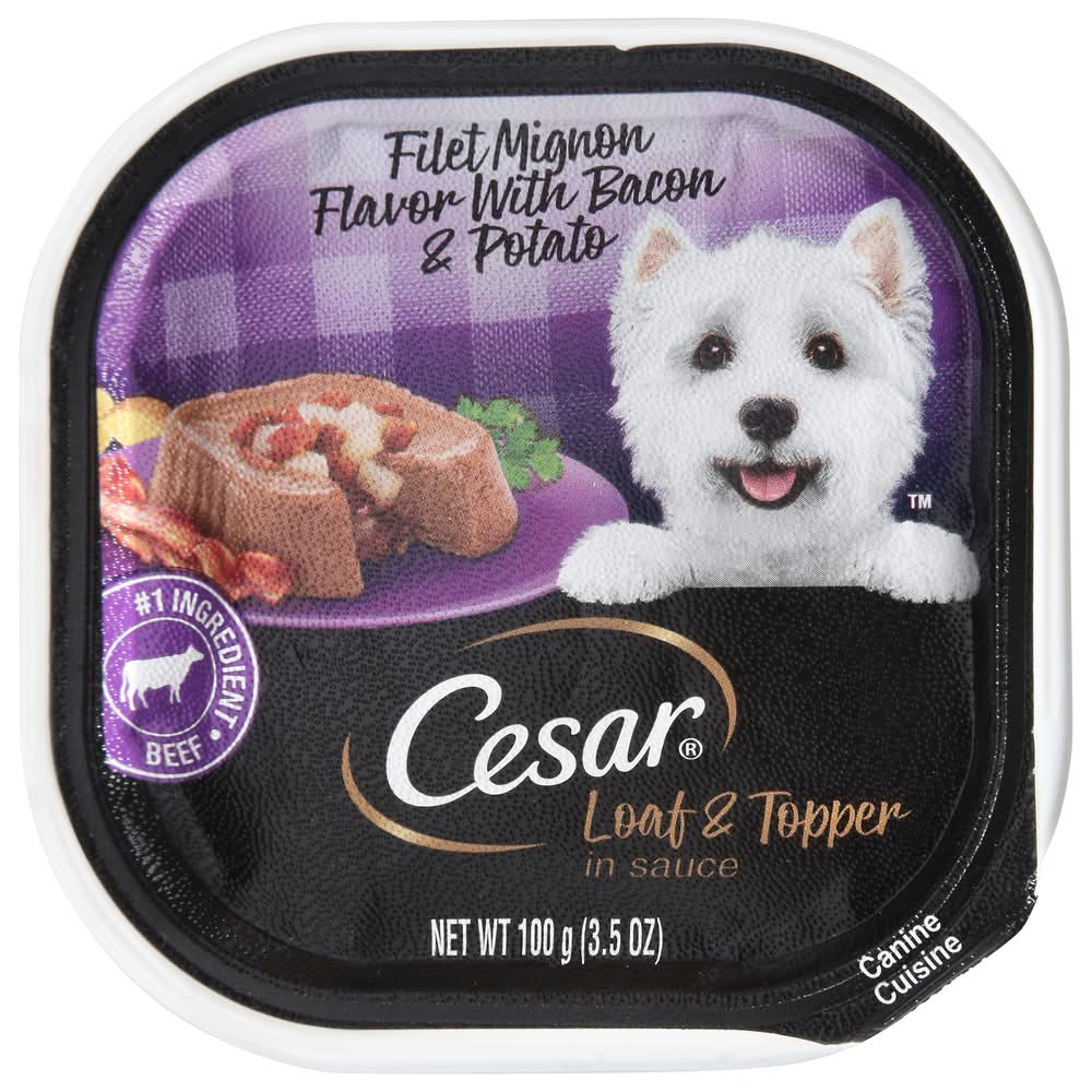 picky dog eater food