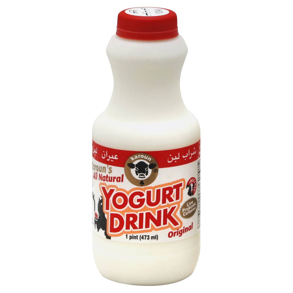 Karoun Original Yogurt Drink