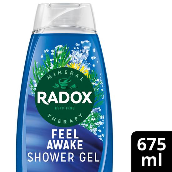 Radox Mineral Therapy 2-in-1 body wash & shampoo Feel Awake 675 ml