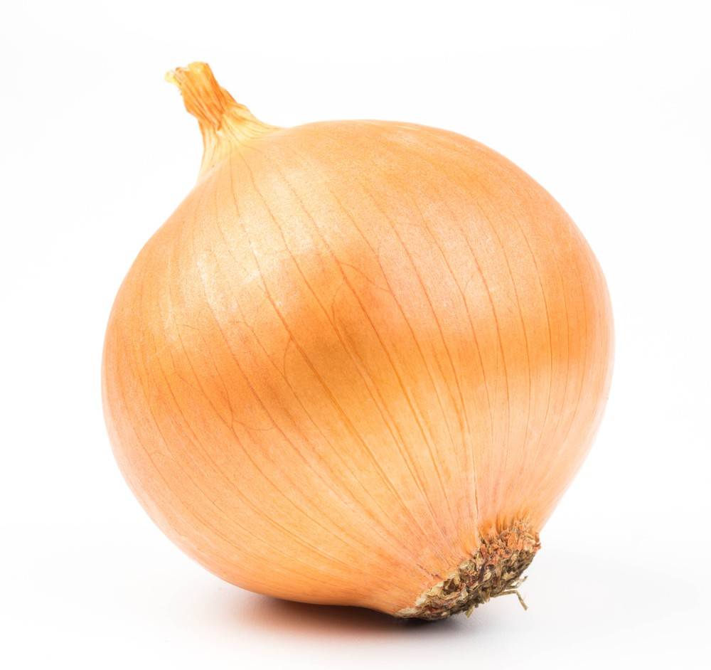 Organic Small Yellow Onion