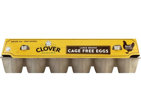 Clover Sonoma · Cage Free Grade AA Large Brown Eggs (12 eggs)