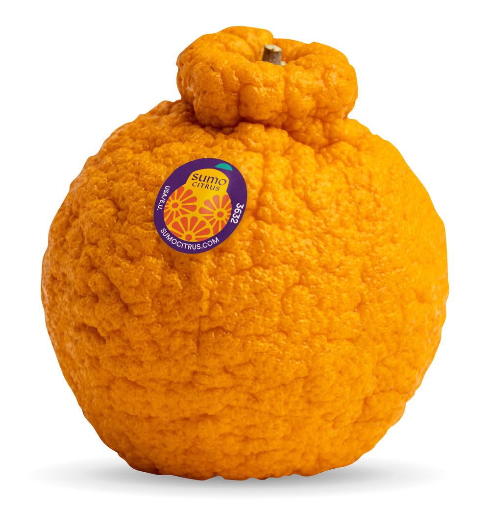 Sumo Citrus Mandarin Orange