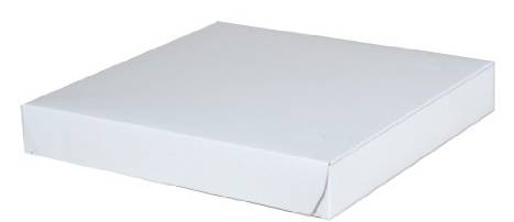 10" Clay Coated White Pizza Box - 100 ct (1 Unit per Case)