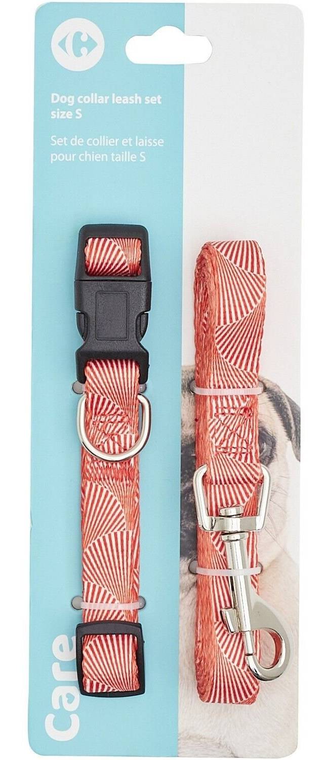 Carrefour - Collier et laisse pour chien, s (2)