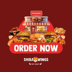 Shiba Wings 