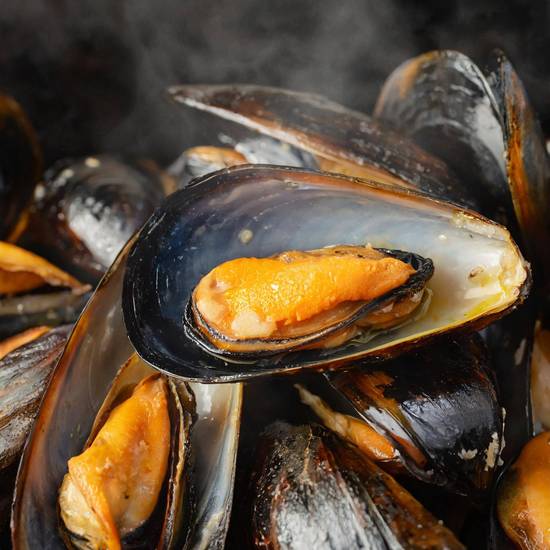 Black Mussel