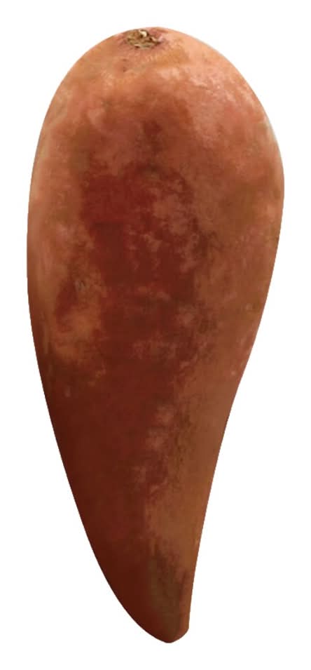 Sweet Potato