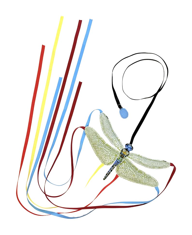 Fog City Pet Dragonfly Finger Glider Interactive Cat Toy (One Size)