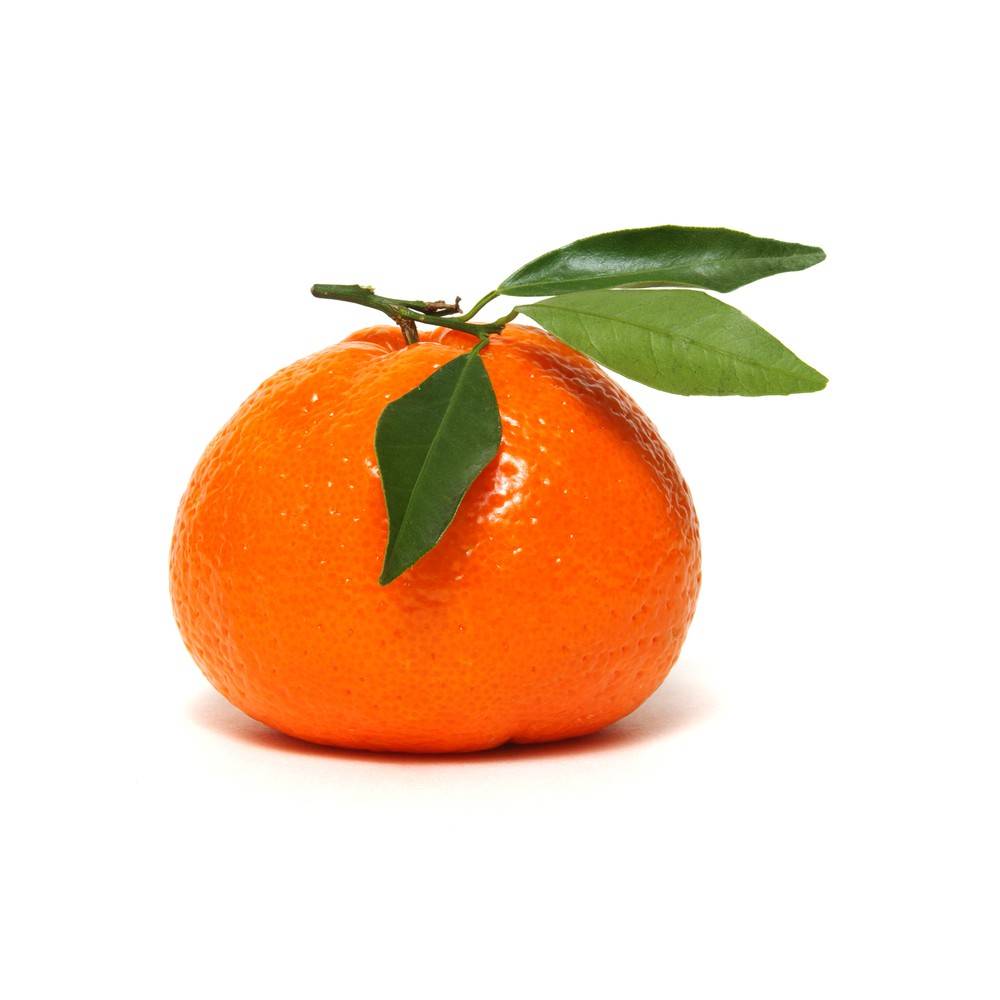 Royal Mandarin