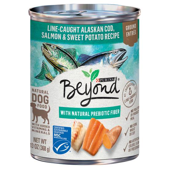 Purina Beyond Alaskan Cod Salmon & Sweet Potato Recipe Dog Food