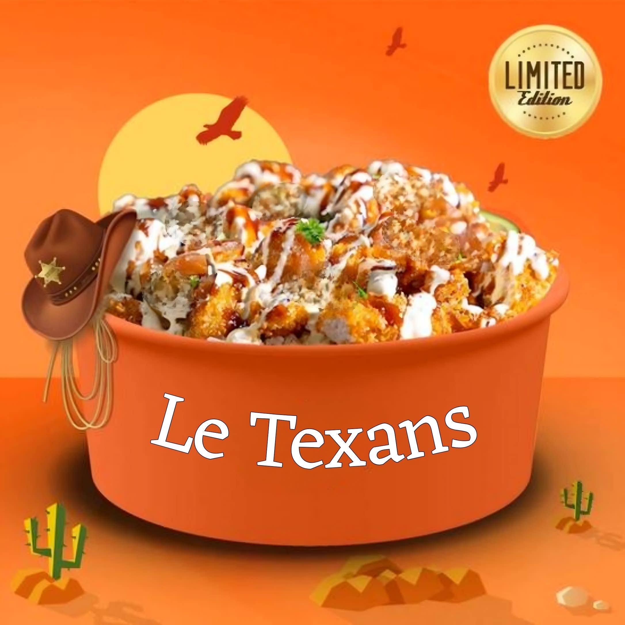 Le Texans 🤠