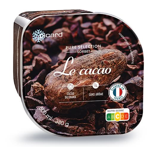 Sorbet Le cacao