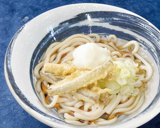 博多 ごぼう天冷やしうどん Hakata Chilled Udon Noodles with Burdock Tempura