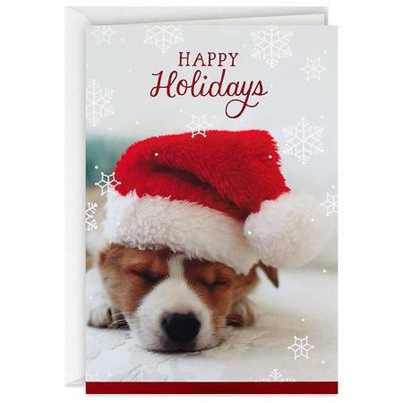 Hallmark Boxed Christmas Cards, Santa Puppy Holiday Dreams B03 - 16.0 ea