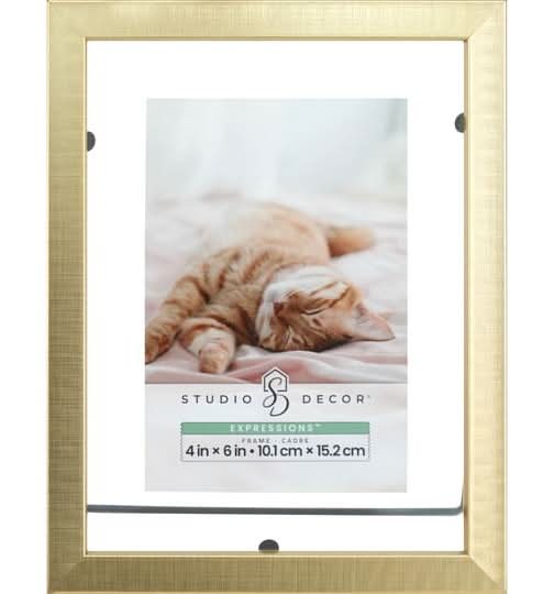 Expressions Gold Tabletop Float Frame By Studio Decor