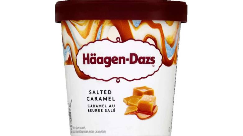 Häagen-Dazs Crème glacée caramel au beurre salé Le pot de 400g
