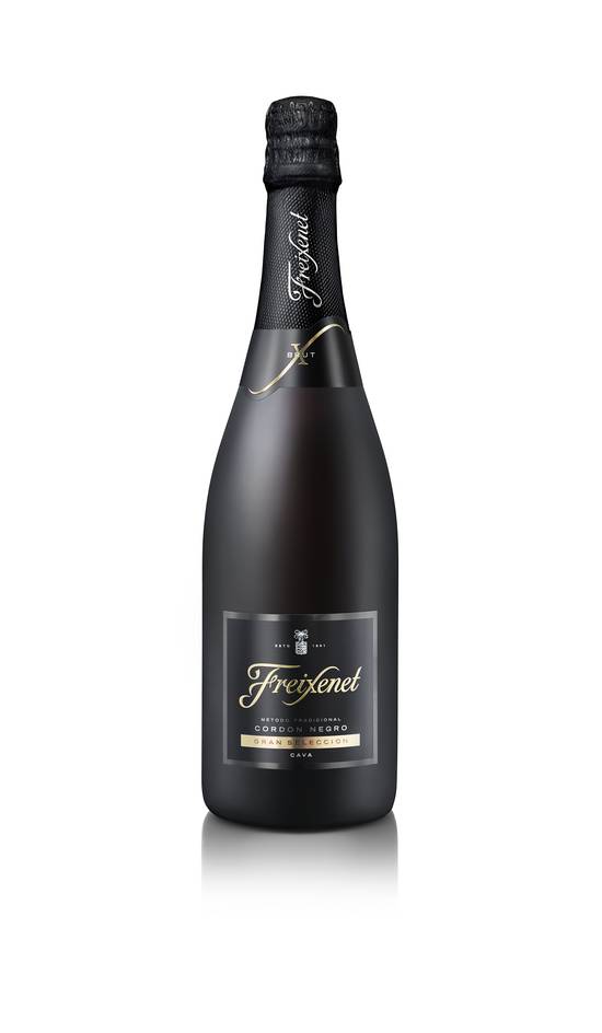 Freixenet - Vin mousseux blanc autres régions cava brut (750 ml)